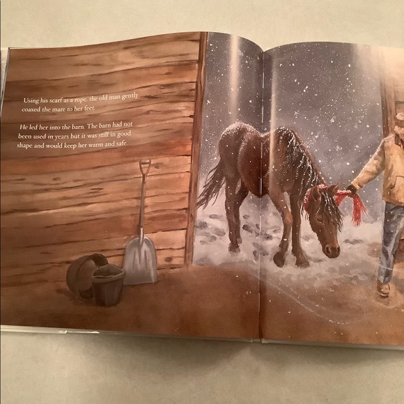 🤑”Winter’s Gift” book by Jane Monroe Donovan - Picture 9 of 11
